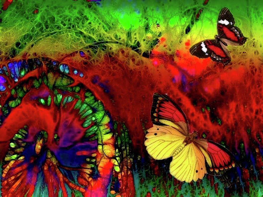 Abstract Digital Art - Dance of the Butterflies by Julie Grace