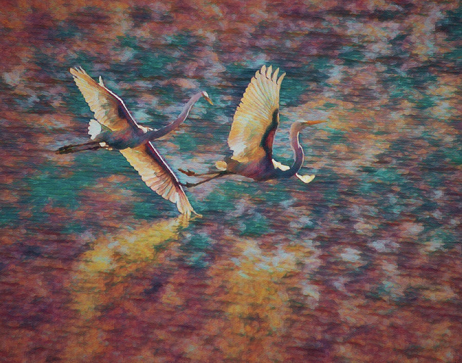 Dance of the Egrets 2 Digital Art by Ernest Echols