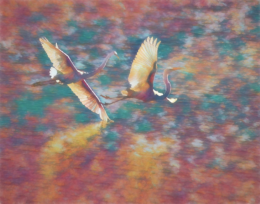 Dance of the Egrets 3 Digital Art by Ernest Echols