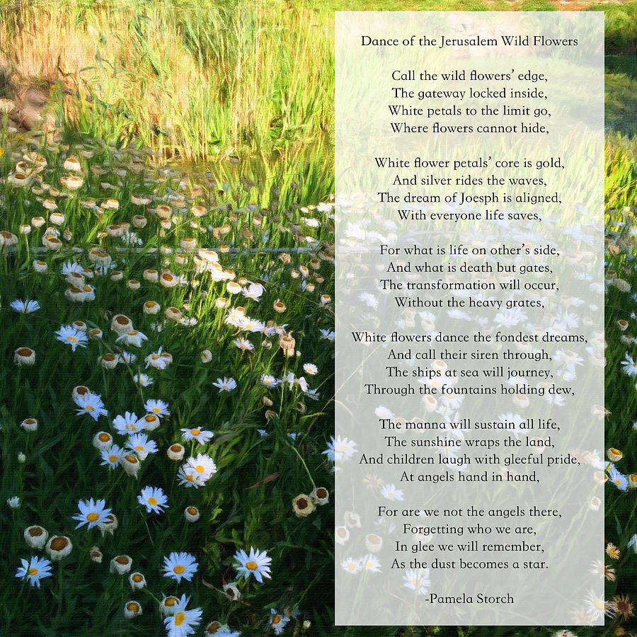Flower Digital Art - Dance of the Jerusalem Wild Flowers Poem by Pamela Storch