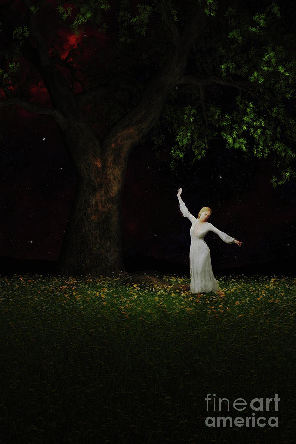 Dance of the Night Photograph by Clayton Bastiani