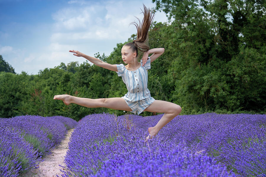 Dance on the lavender Photograph by Andrew Lalchan