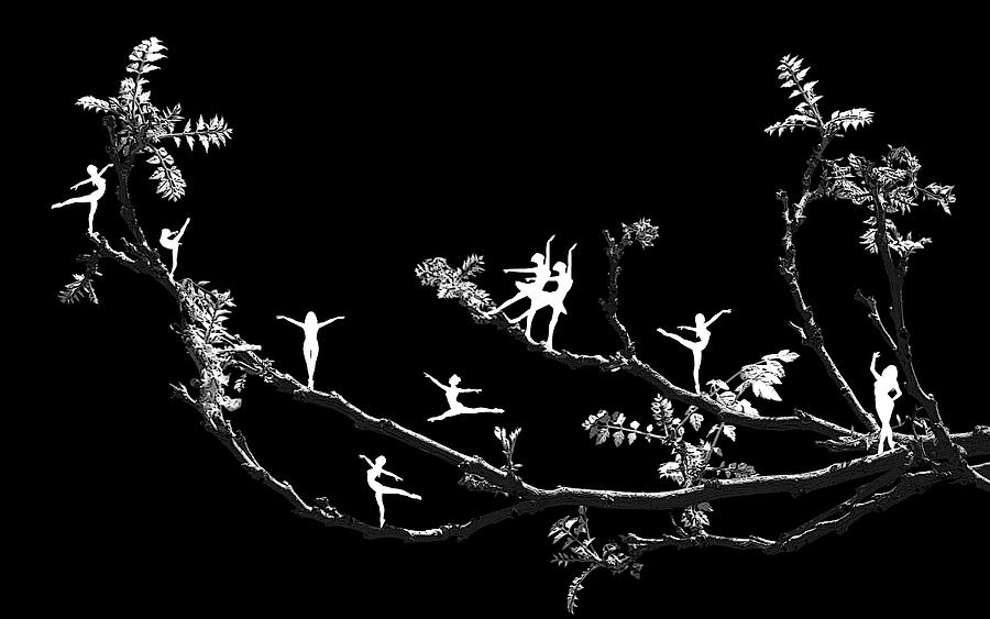 Dancers on Branches Digital Art by Beverly Read
