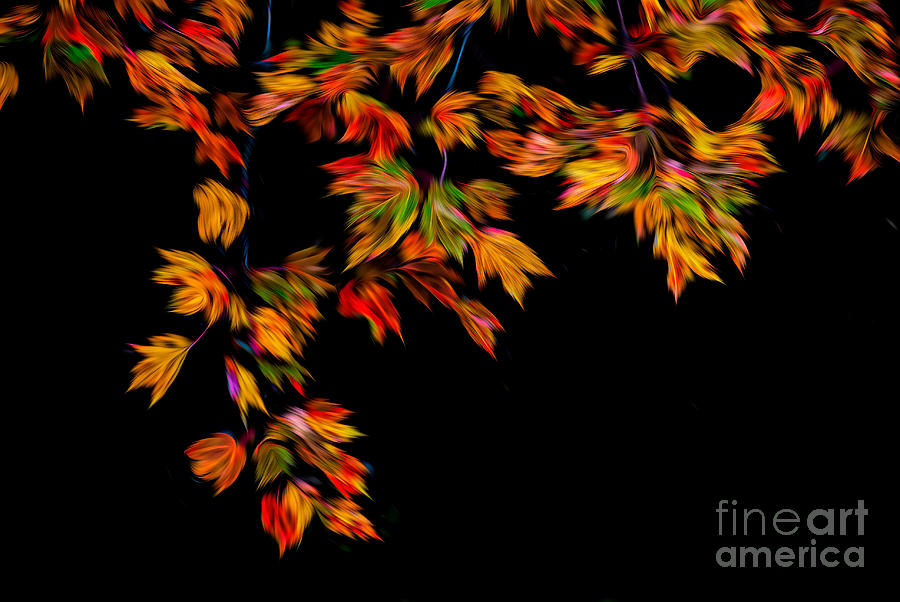Dancing Autumn Leaves Abstract 1 Photograph by Anita Pollak