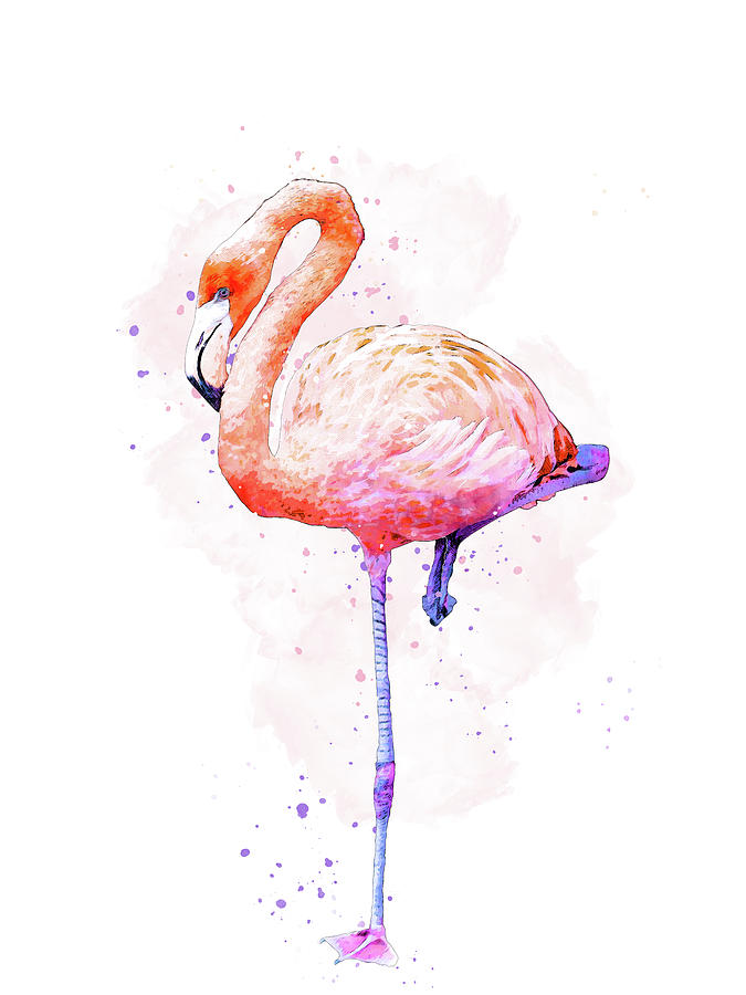 Dancing Flamingo Watercolor Mixed Media by Pamela Williams