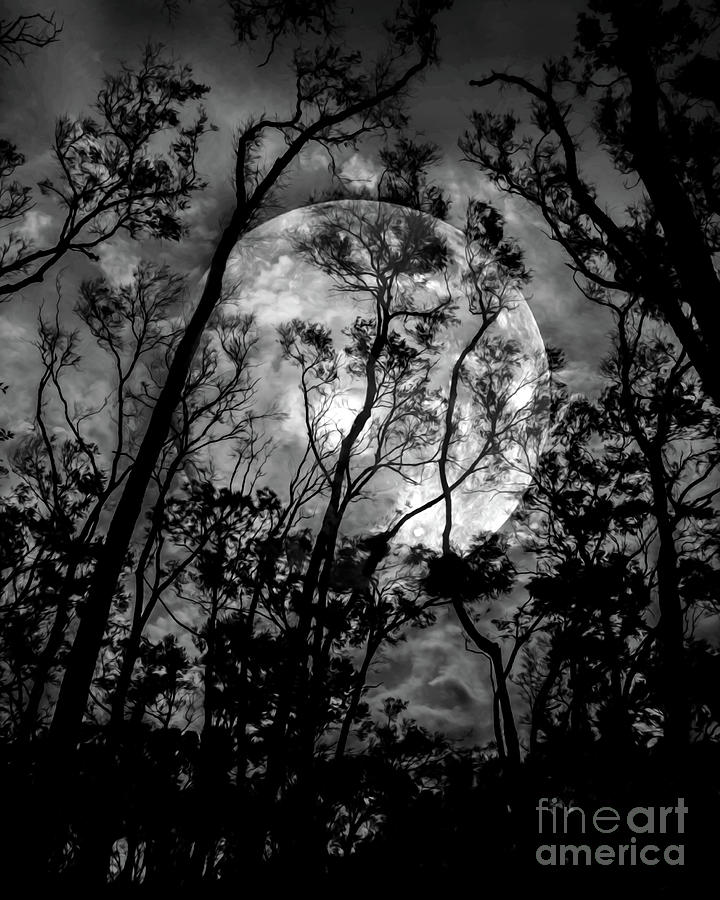 Dancing in the Moonlight Photograph by Neala McCarten