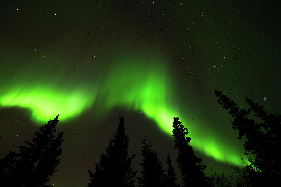 Dancing Lights Photograph by Kyle Lavey