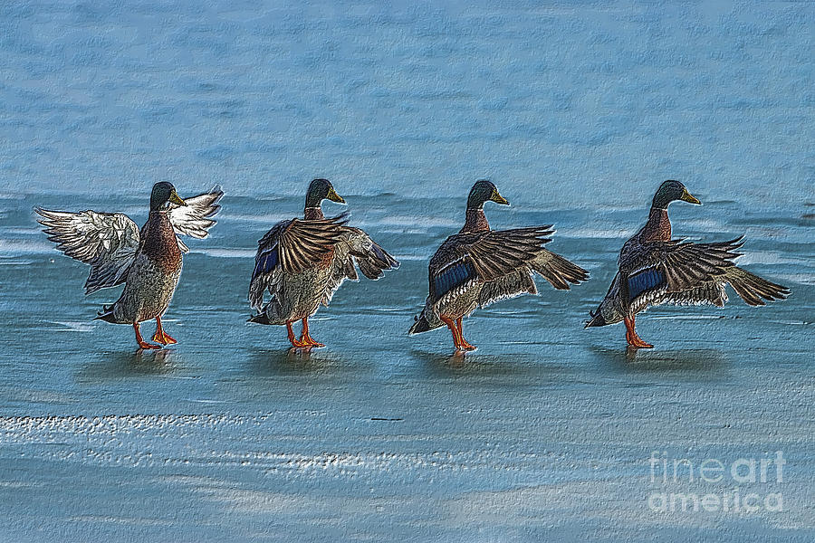 Dancing On Frozen Pond Mixed Media by Jennifer White
