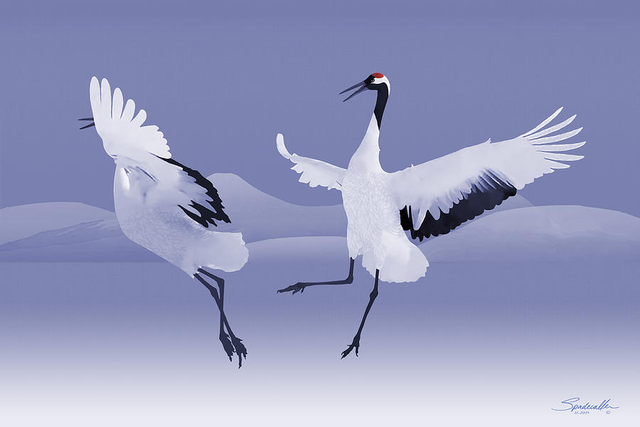 Dancing Red-crowned Cranes  Mixed Media by M Spadecaller