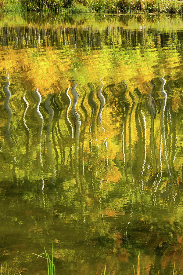 Dancing Ripples Photograph by Sunniye Buesing - Pixels