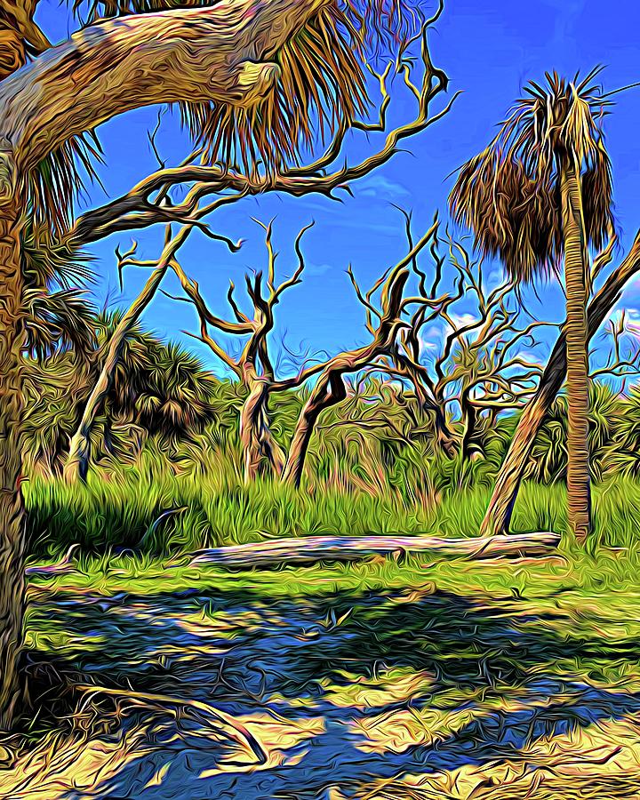 Dancing Trees at Driftwood Beach on Jekyll Island Expressionism Photograph by Bill Swartwout