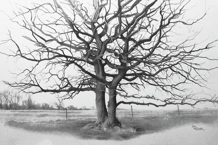 Tree Drawing - Dancing Trees by Lisa Molitor