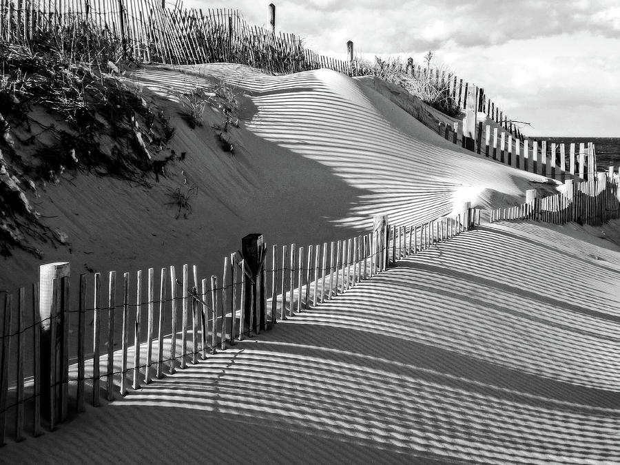 Line Dance - Cape Cod Bay Photograph by Dianne Cowen Cape Cod ...