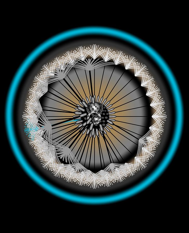 Dandelion Abstract Blue Halo Drawing by Joan Stratton