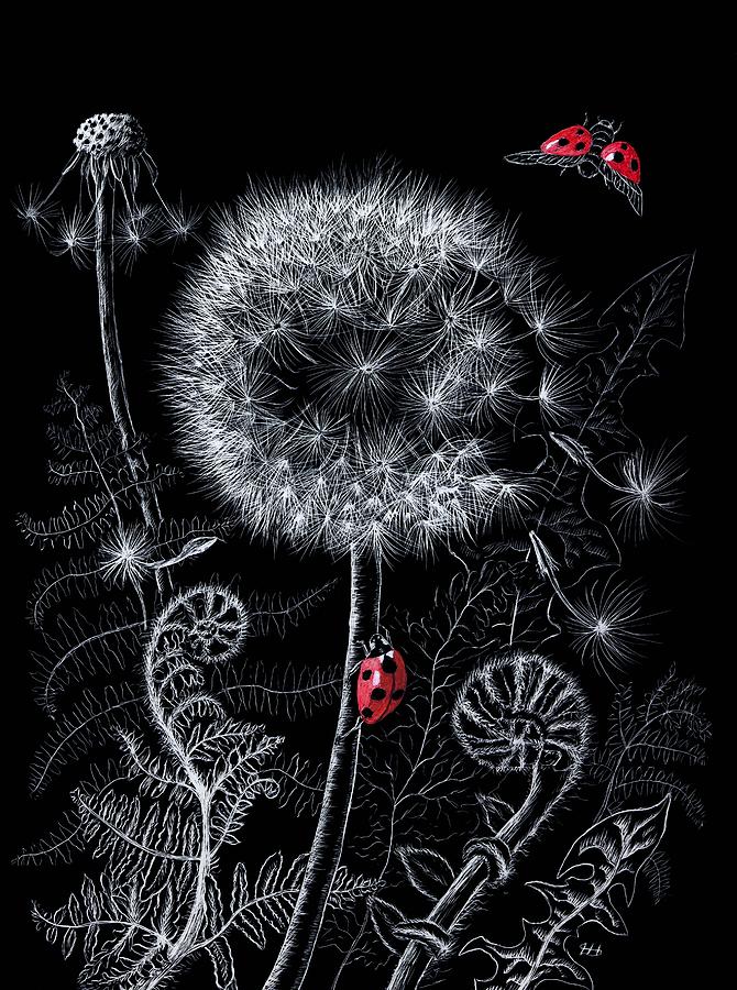 Dandelion and Ladybird Drawing by Lynne Henderson