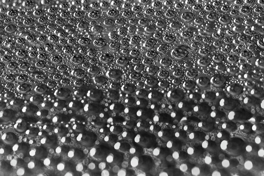 Dandelion Enamel under Water in Silver Photograph by Iris Richardson