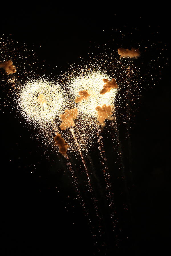 Dandelion Fireworks Photograph by Jane Ford