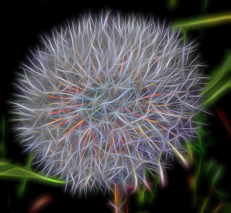 Dandelion Head Abstract Digital Art by Roy Pedersen