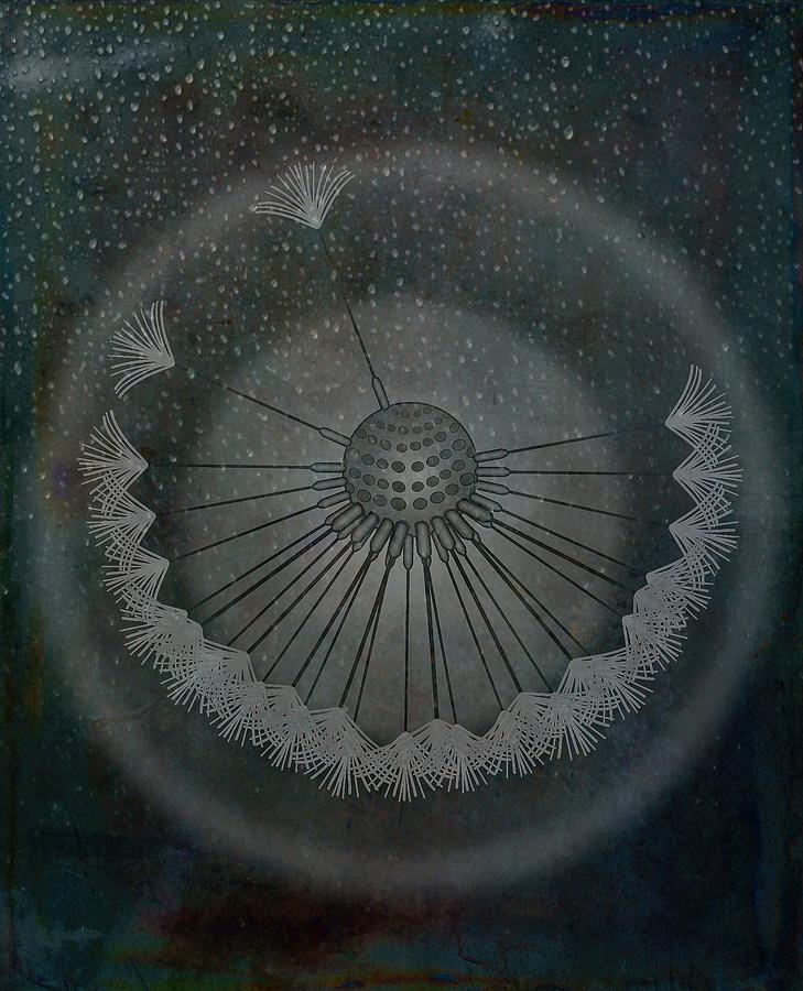 Dandelion Seeds Metallic Rain Drops Graphic Digital Art by Joan Stratton