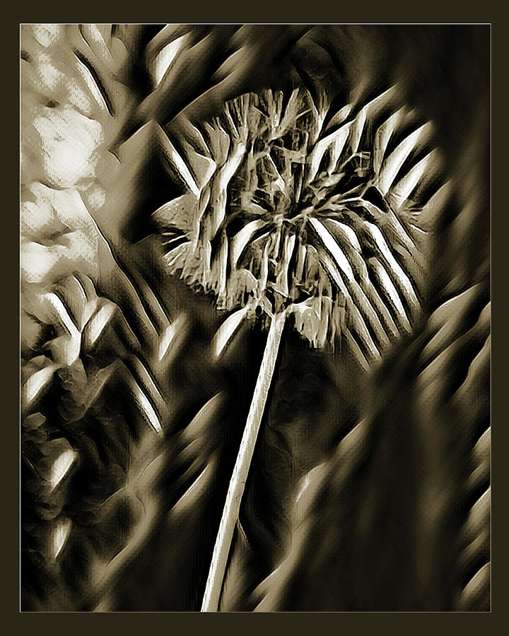Dandelion Wld Flower 204.2107 Photograph by M K Miller