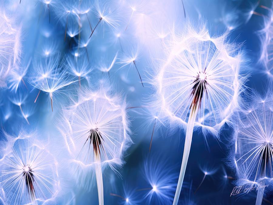 Dandelions In Flight 3 - Puffs In The Wind Digital Art by Sykart ...