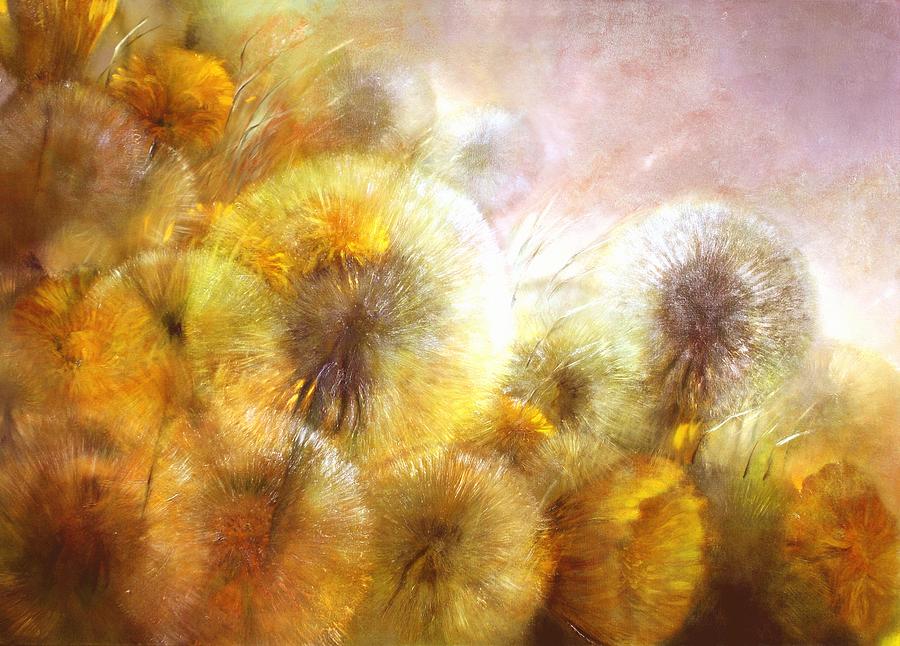Dandelions in the late evening light Painting by Annette Schmucker