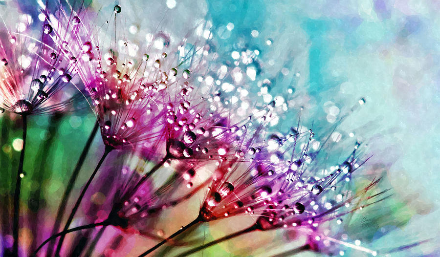 Dandelions Rain Drops Abstract Mixed Media by Sandi OReilly