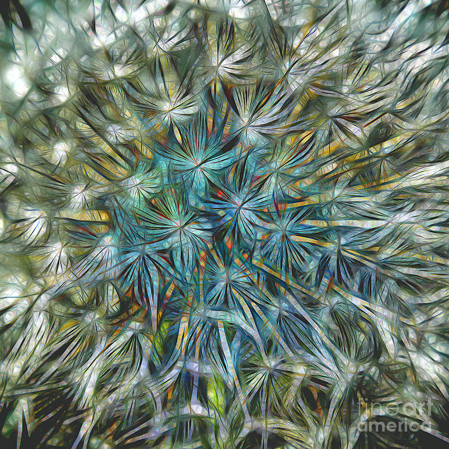 Dandelion Abstract Digital Art by Wendy Wilton