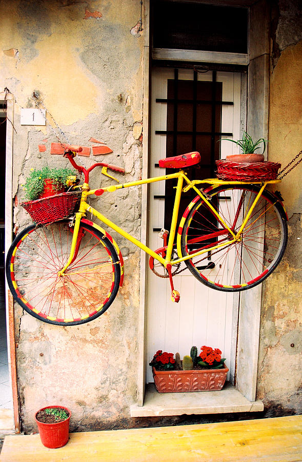 Hanging Bike Photograph by Claude Taylor