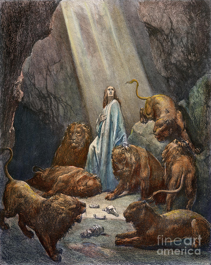 Lion Photograph - Daniel In The Den Of Lions by Granger