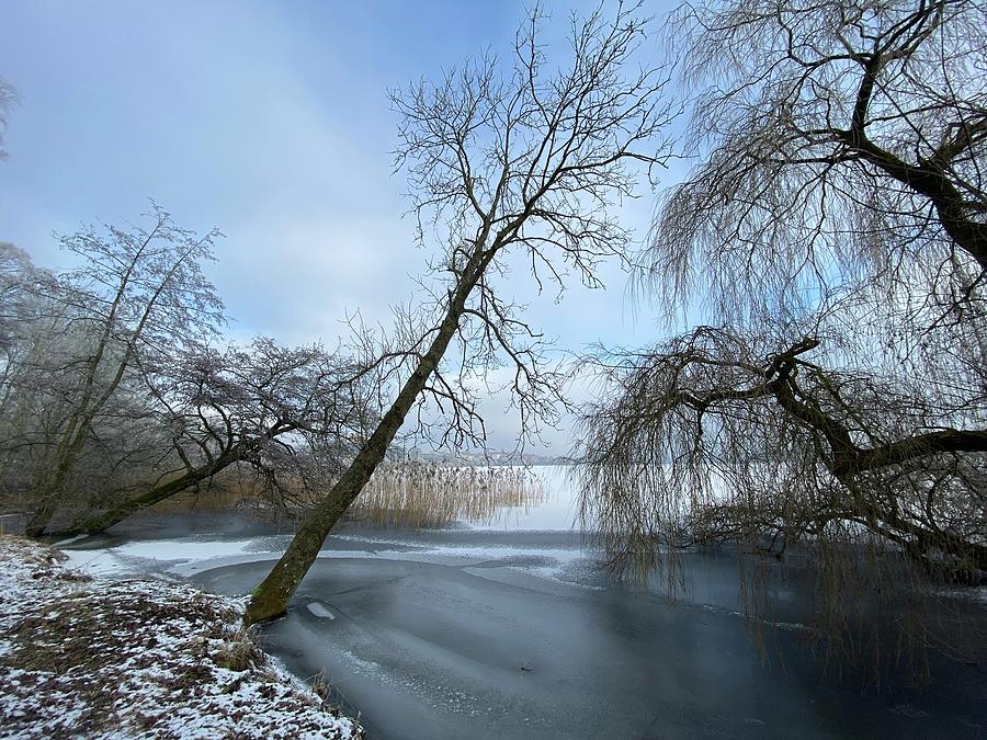 Winter Photograph - Danish Winter  by Colette V Hera Guggenheim
