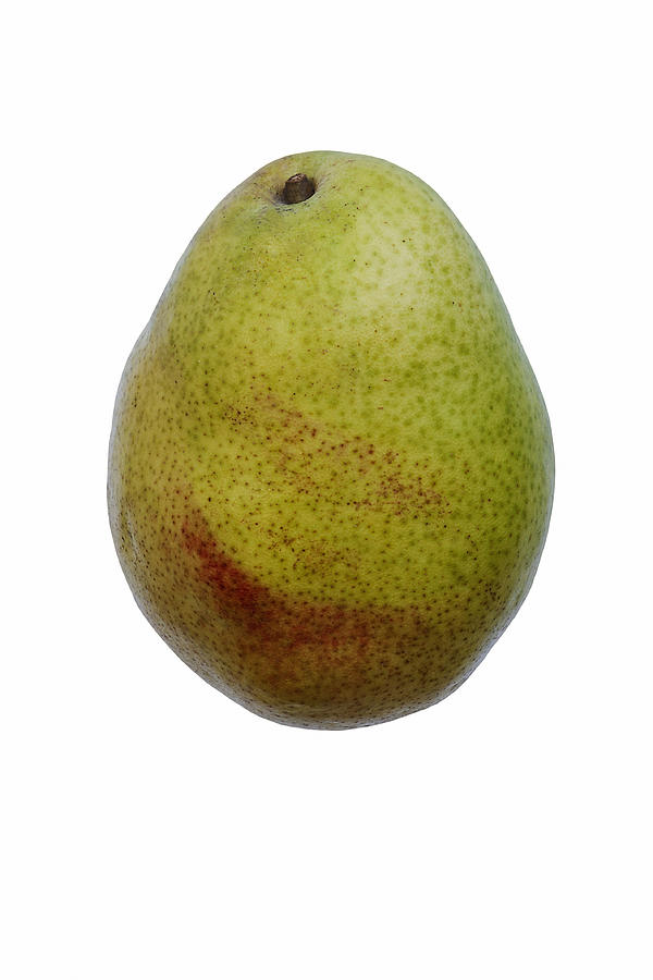 DAnjou pear Photograph by Nickkurzenko