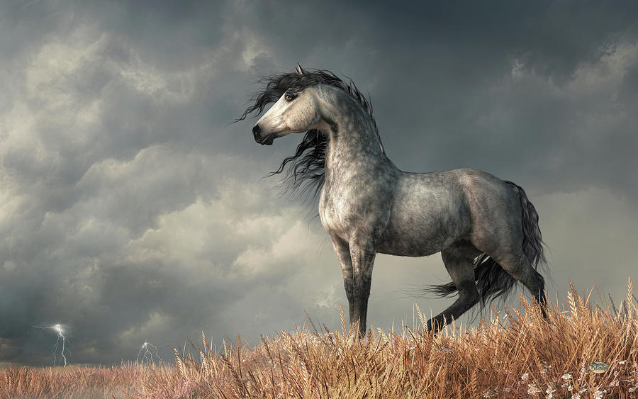 Dapple Gray Horse Digital Art by Daniel Eskridge