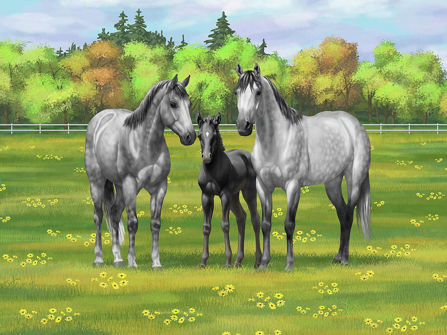 Dapple Gray Quarter Horses in Summer Pasture Painting by Crista Forest