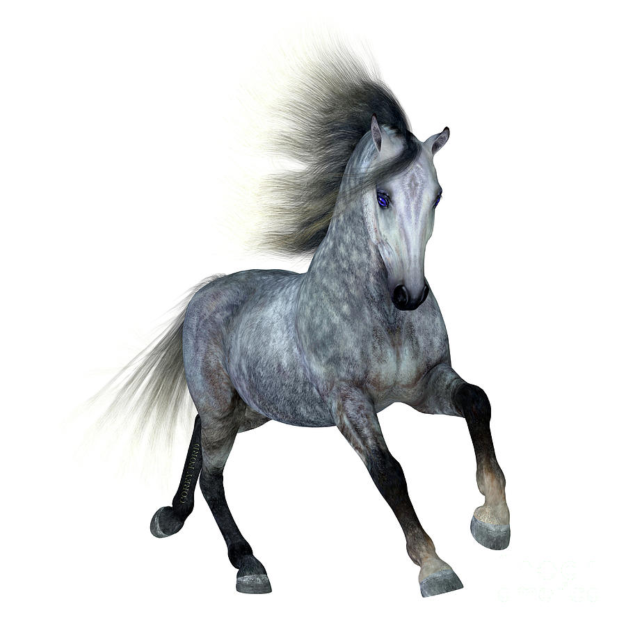 Dapple Grey Horse Digital Art by Corey Ford