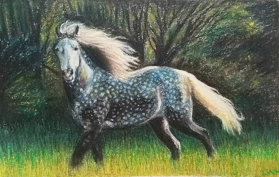 Dapple Grey Horse by Leah Howard