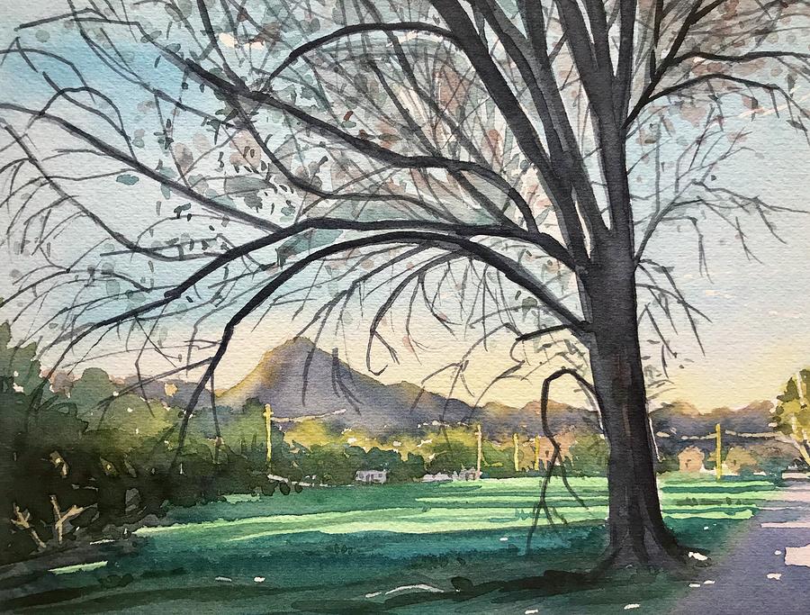 Mountains Painting - Dappled afternoon Light - Reagan Ranch  by Luisa Millicent