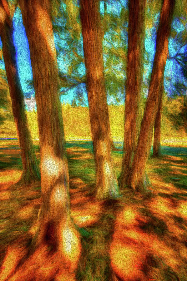 Dappled Canopy Digital Art By Edward Landen Fine Art America