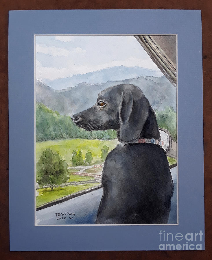 Dog Painting - Darcy and Cane Creek Mountains road trip by TD Wilson