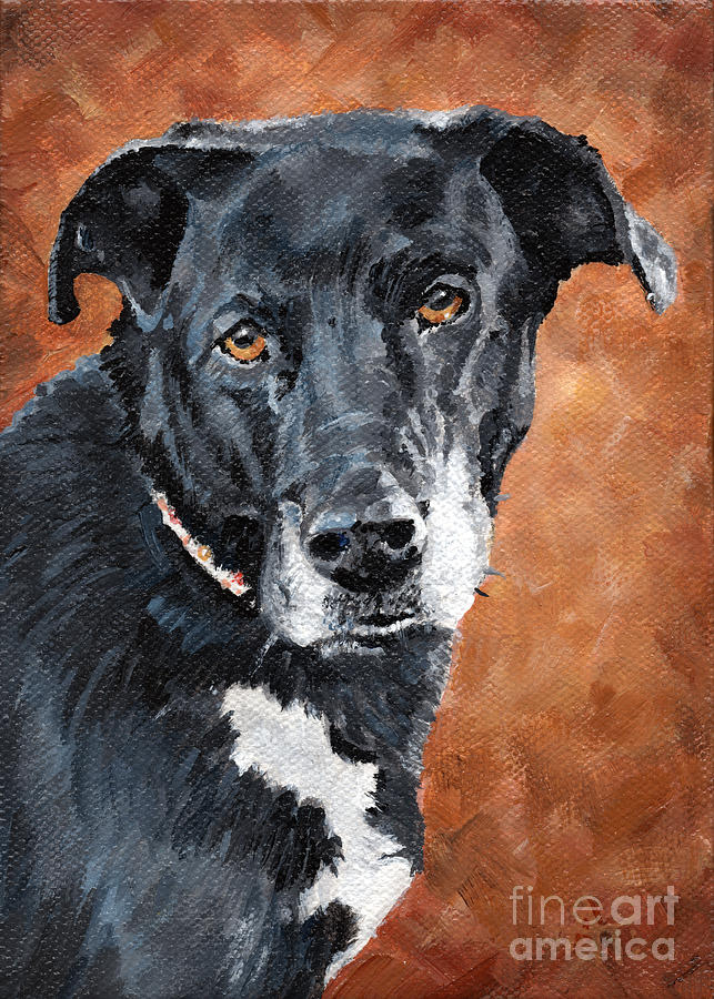 Darcy - Black Dog Painting by Annie Troe