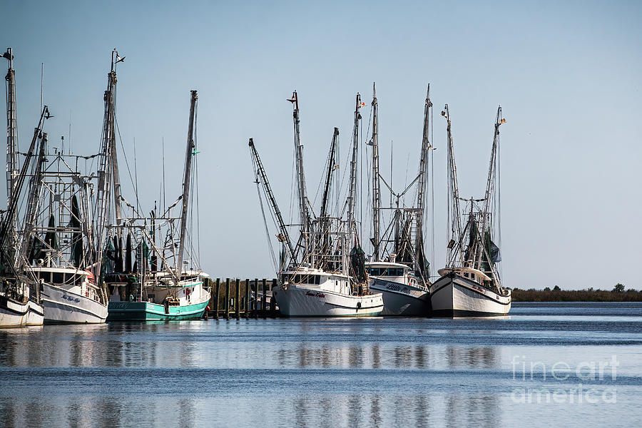 Darien Shrimp Boats Photograph by Scott Pellegrin