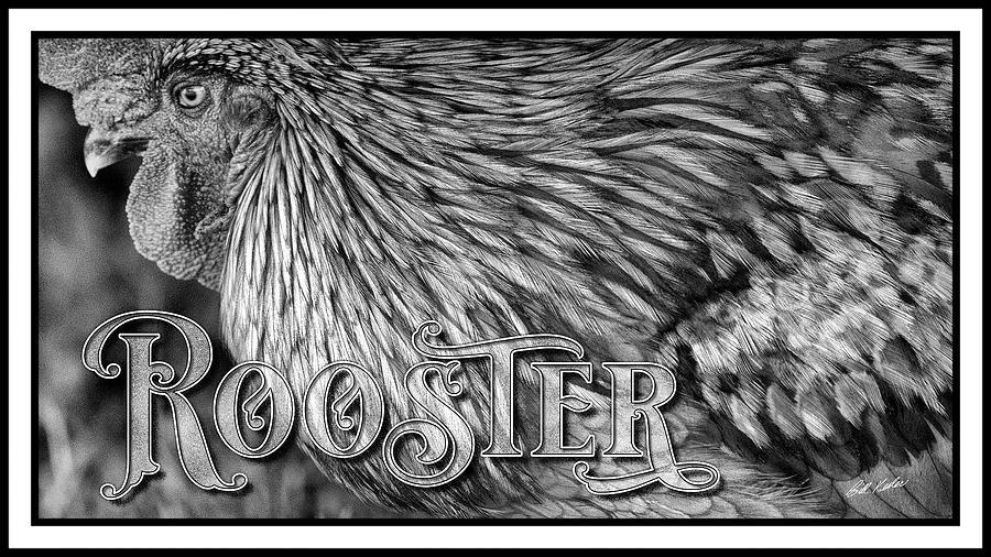 Dark Beak-R - The Rooster - Black-and-White Photograph by Bill Kesler