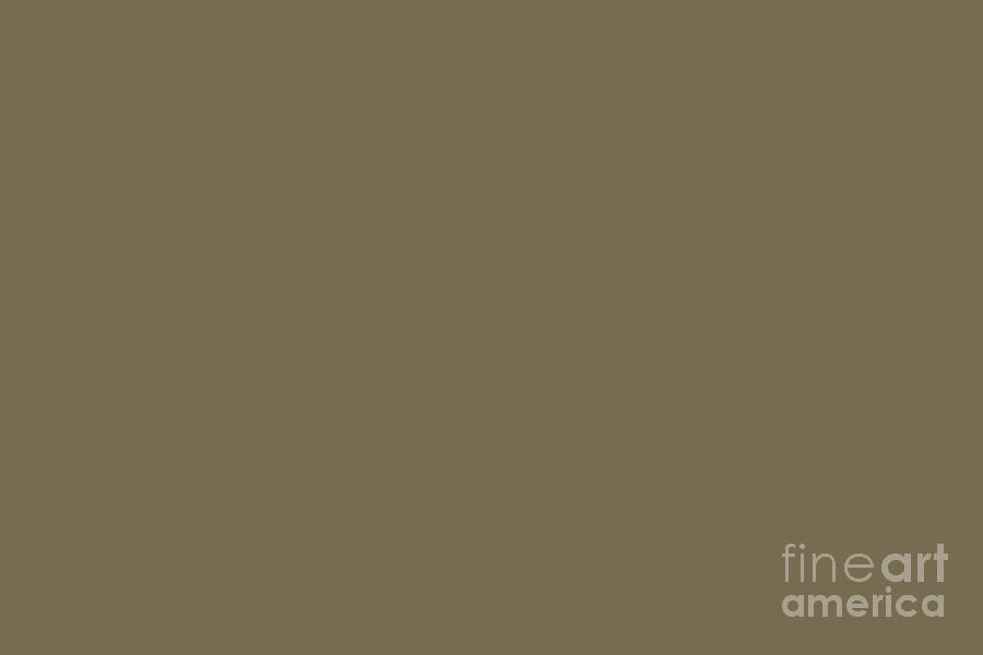 Dark Beige Solid Color Pairs Sherwin Williams Roycroft Brass SW 2843 Digital Art by PIPA Fine Art - Simply Solid