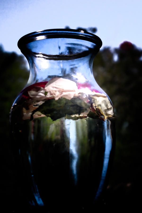 Dark Blue Vase Photograph by W Craig Photography