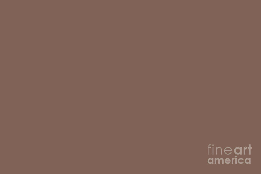Dark Brown Solid Color Pairs 2023 Color Of The Year Hgtv Hot Cocoa Hgsw6047 Simply Solids 