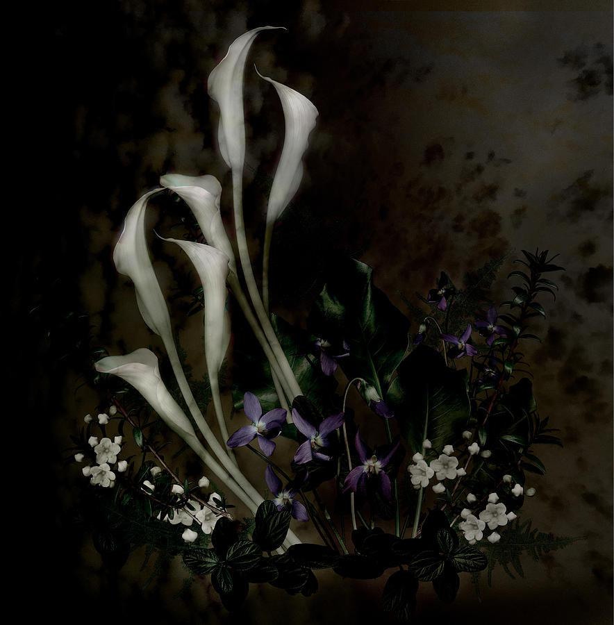 Dark Callas Photograph by Marsha Tudor