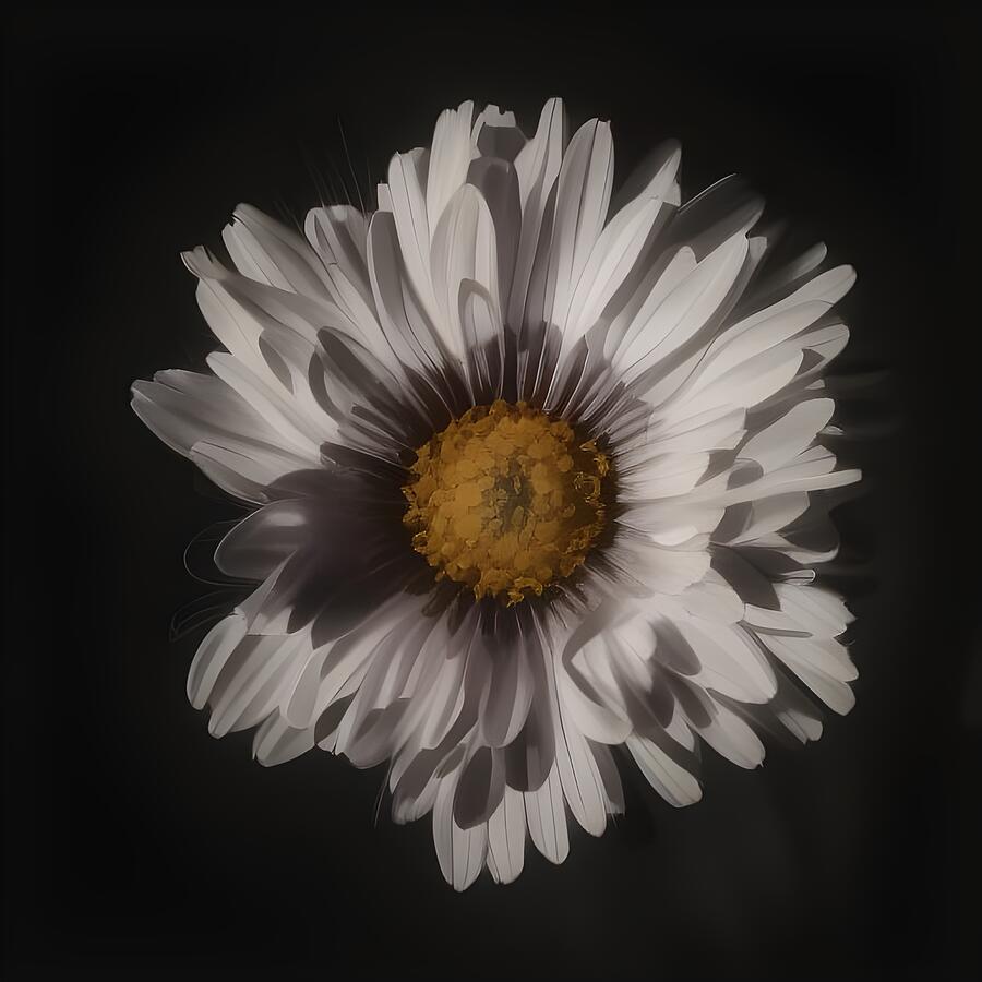 Dark Daisy Digital Art by Kristen O’Sullivan - Pixels