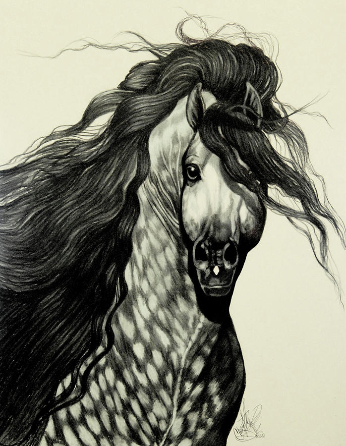 black dapple horse