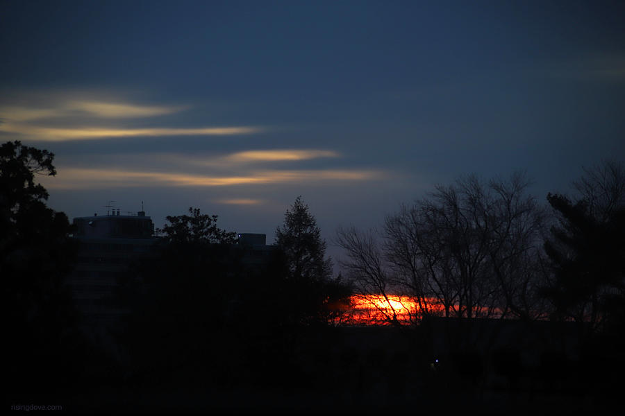 Dark Dawn at Rivendell February 10 2021 Photograph by Miriam A Kilmer
