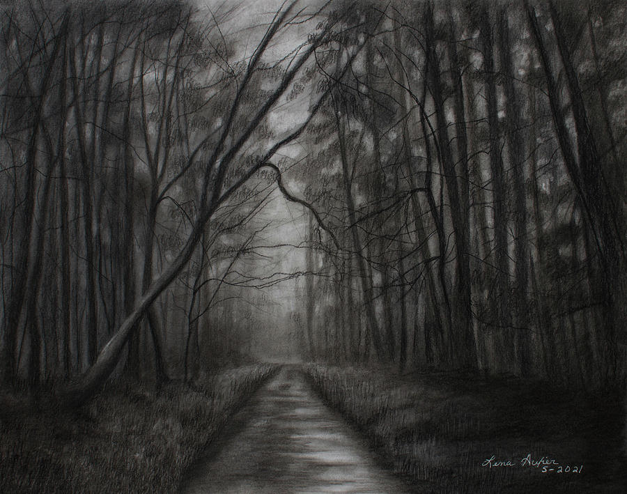 Dark Forest Drawing by Lena Auxier - Pixels